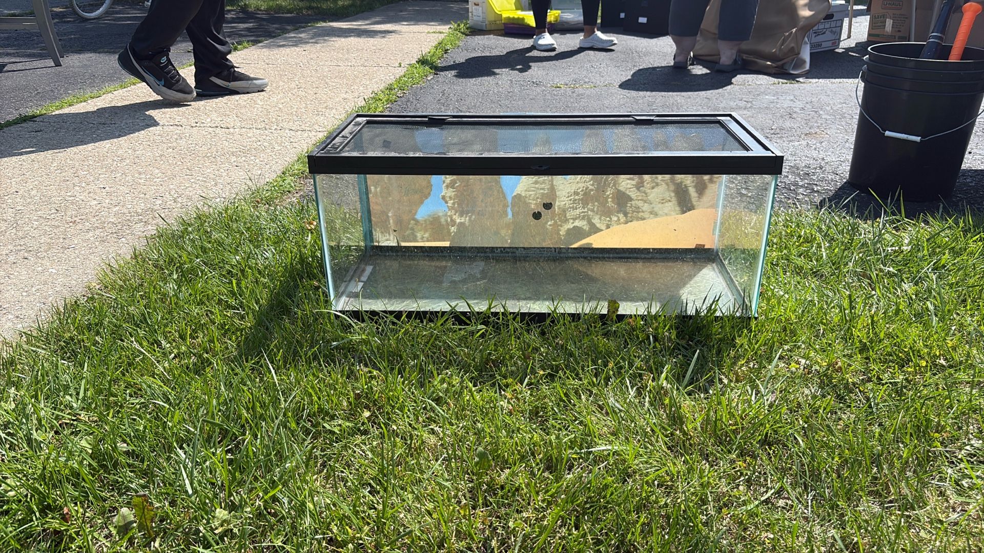 Reptile enclosure