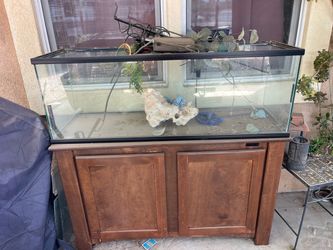 Fish cabinet and tank