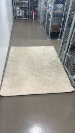 Large beige area rug 7x6