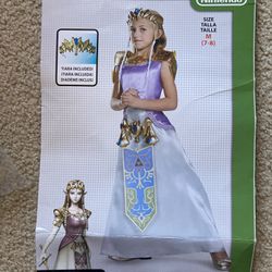 Halloween costume - Zelda