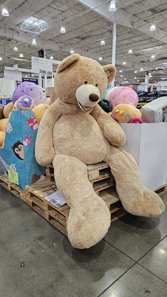 11FT Version of GIANT Teddy Bear