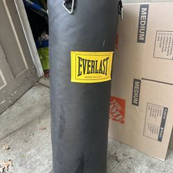 80lb Pound Everlast Punching Bag