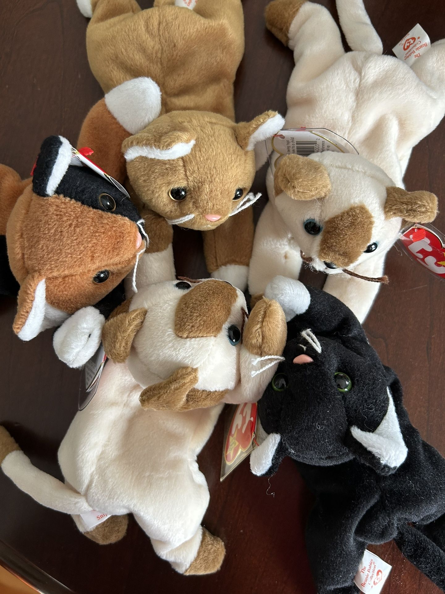 Ty Beanie Babies 5 Cats