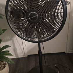 Black fan