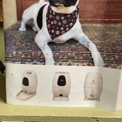 Pet Feeder With Camera And Monitor Activity With Your Phone 
