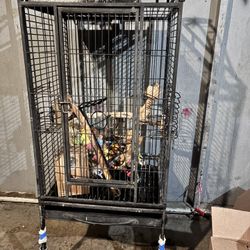 Bird cage with toys and playstand 