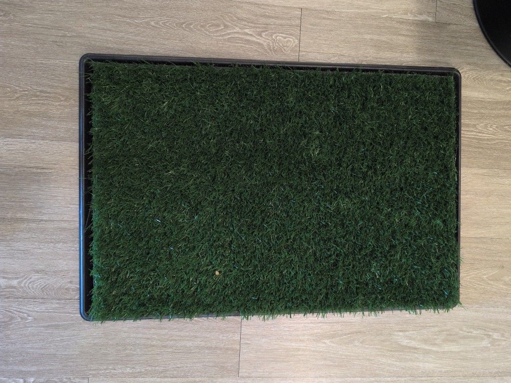 Two Grass Dog Carpets, One New, One Out Of The Box