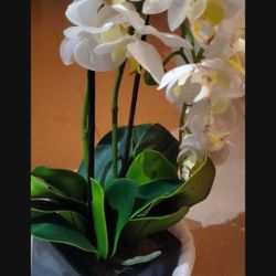 Artificial Plant 