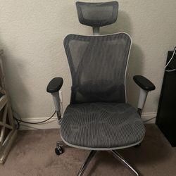 Sihoo Ergonomic Office Chair 