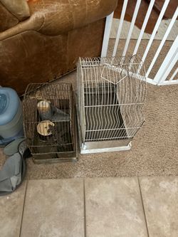 Vintage bird cages