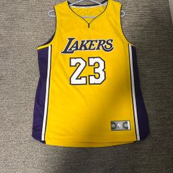 Mens Fanatics LeBron James Lakers Jersey Mens Medium