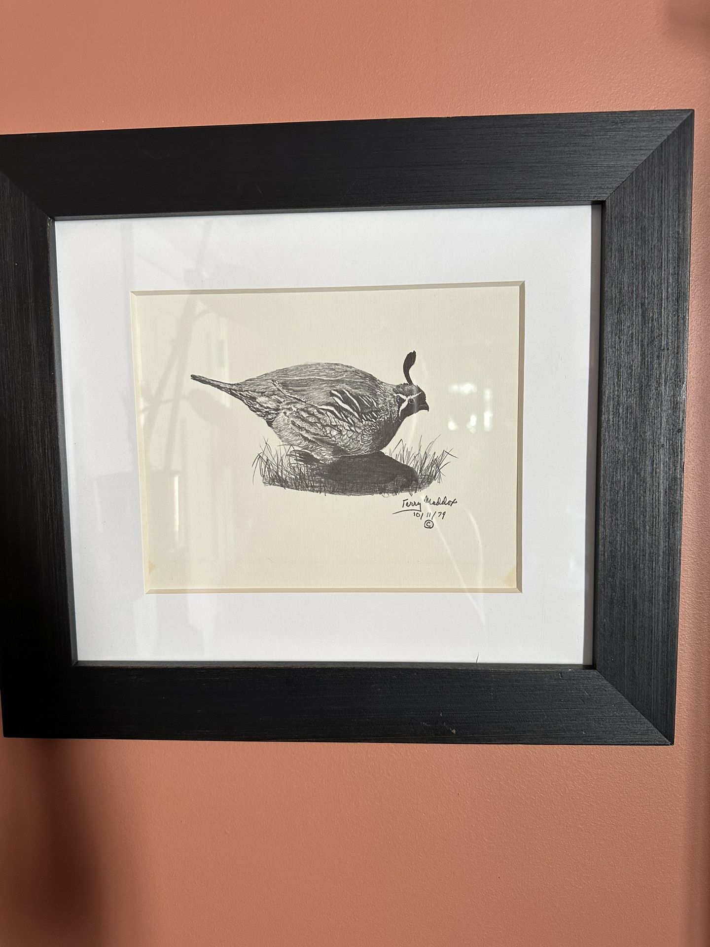 Lone Quail- Pencil Drawing By Terry Maddox 79’