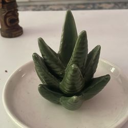 Aloe Vera Ring Holder