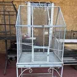 Bird Cage 