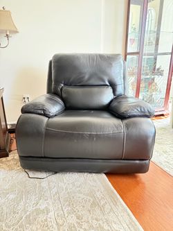 Haven Softee Power Recliner