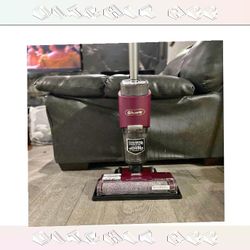 Dual Vacuum Cleaner - Maximum Cleaning Strength free director