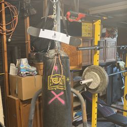 Punching Bag And Stand Everlast