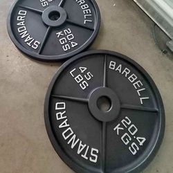 Olympic Weight 45 Lbs Plates