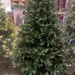 Christmas Tree!