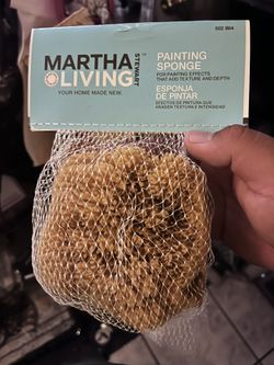 Martha Living Paint Sponges