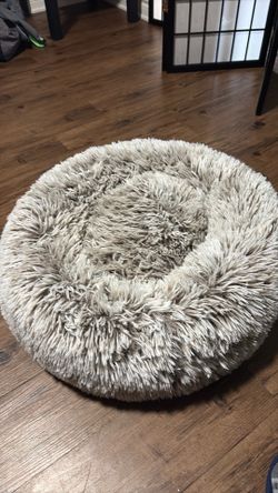 Small Dog Bed