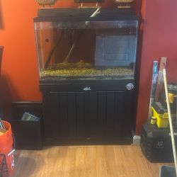 Fish Tank With Stand 