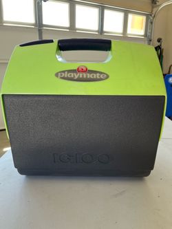 Igloo cooler 16qt