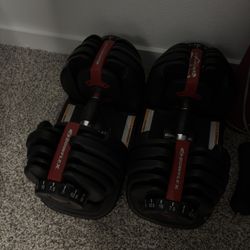 Bowflex Adjustable Dumbbells 52.5lbs
