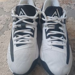 Nike Giannis Sneakers