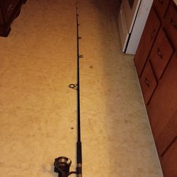 Tuff tip 10 ft graphite pole w 5800 graphite reel 4.4.1 ratio