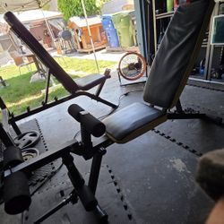 Leg Extension And Hamstring Curl Bench (No Weights)