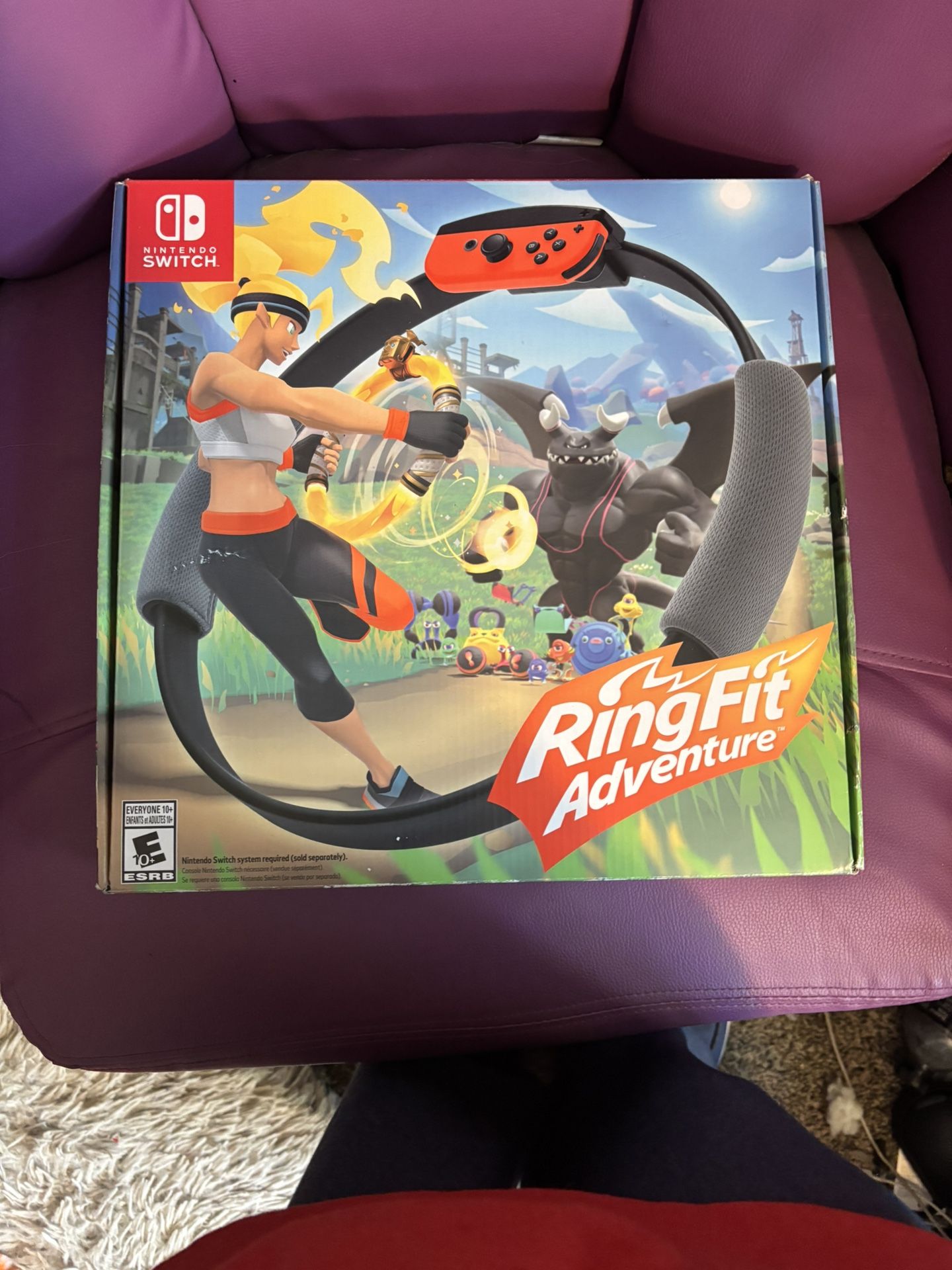 Nintendo Switch Game