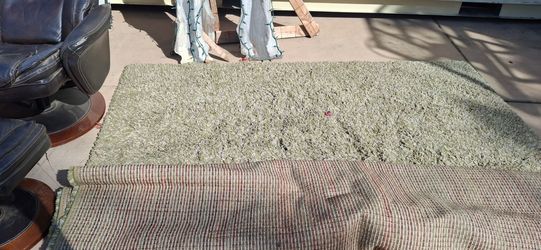Carpet area rug