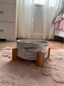 Dog bowl