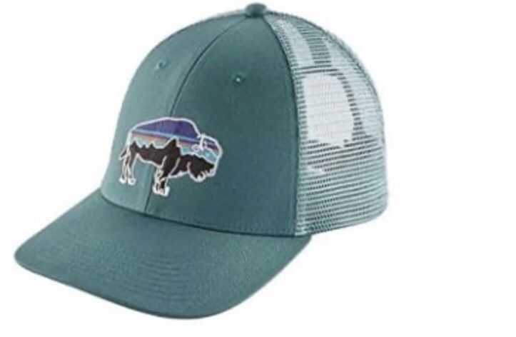 PATAGONIA Fitz Roy Bison LoPro Trucker hat