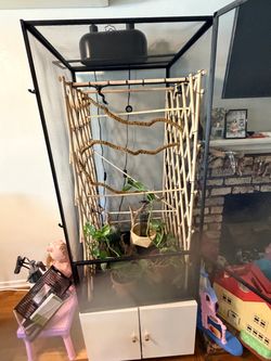 Chameleon enclosure