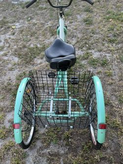 Adult three wheel bicycle