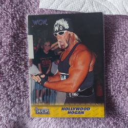 Vintage Hollywood Hogan Card.