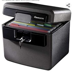 Sentry safe Hd4100