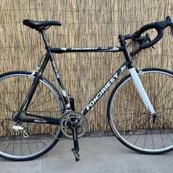 💥🔥60cm Fondriest 16.50 Full Campagnolo Road Bike 🔥💥