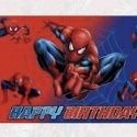 Spider-Man Party Decorations 