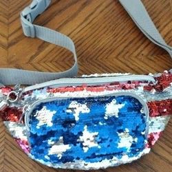 Waist Or Shoulder Seq. PURSE / $3
