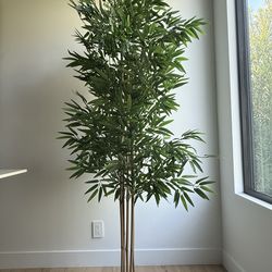 6’ Artificial Bamboo Tree + 6.25’ Artificial Yucca/Dracaena Tree