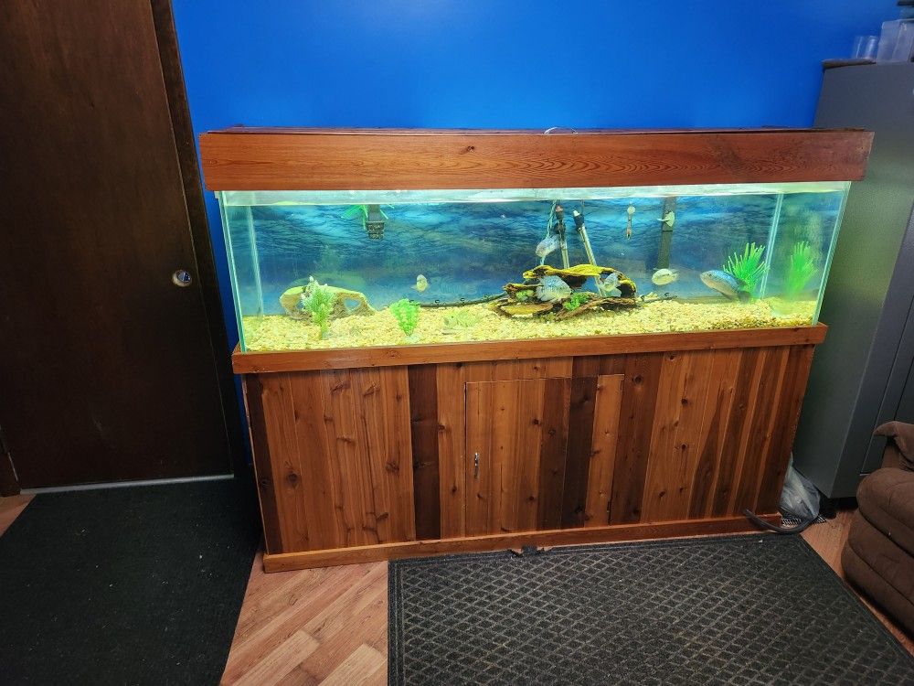 125 Gallon Aquarium 