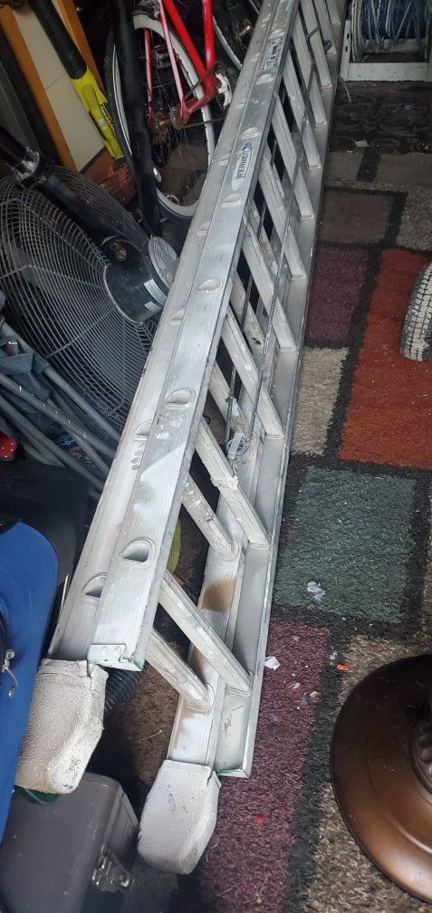 Ladder