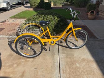 Adult 3 Wheel Bike