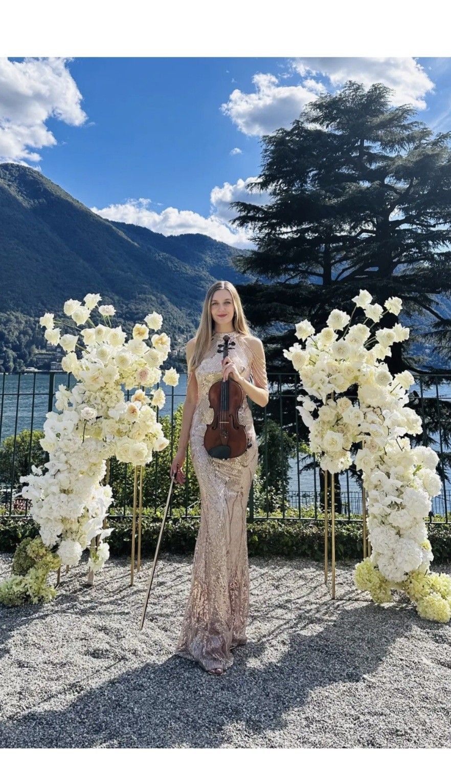 Violinista