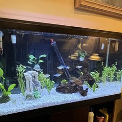 40 Gallon Aquarium And Stand With 2 Canister Filters