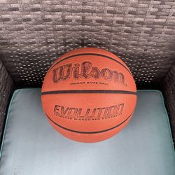 Wilson Evolution Basketball