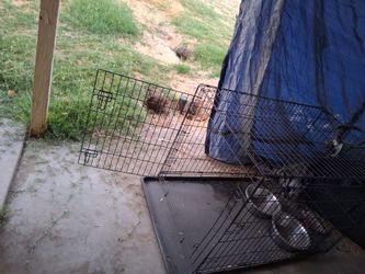XL kennel
